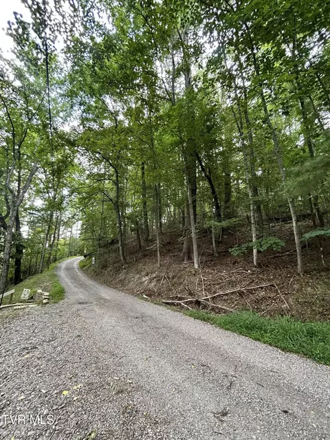 tbd Moody Circle Butler Tn 37640, Butler, TN 37640