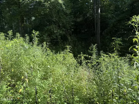 00 Of Williams Lane Butler Tn 37640, Butler, TN 37640