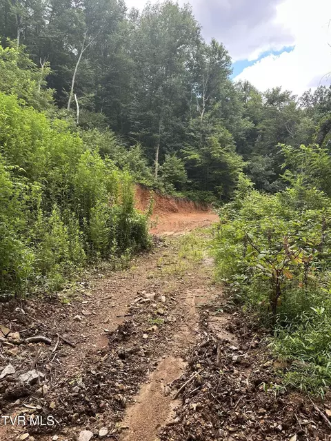 000 Old Highway Road Erwin Tn 37650, Erwin, TN 37650 photo 7