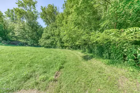 Other - 419 Kitzmiller Road Gray Tn 37615, Gray, TN 37615 photo 34 of 42