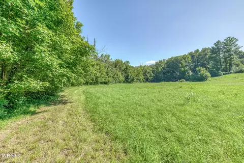 Other - 419 Kitzmiller Road Gray Tn 37615, Gray, TN 37615 photo 36 of 42