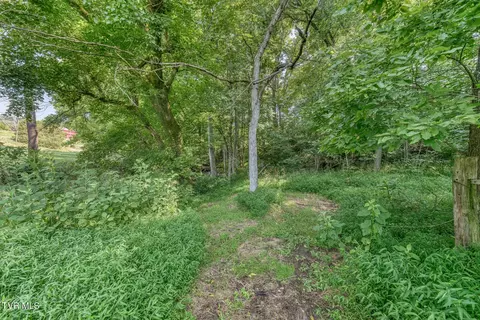 Other - 419 Kitzmiller Road Gray Tn 37615, Gray, TN 37615 photo 28 of 42
