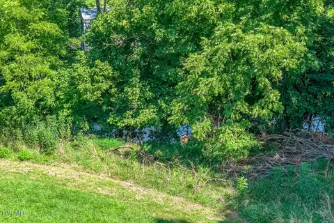 View/Area - 419 Kitzmiller Road Gray Tn 37615, Gray, TN 37615 photo 1 of 1
