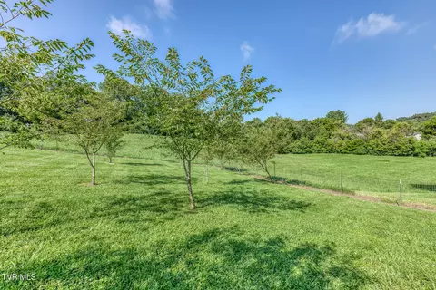 Exterior - 419 Kitzmiller Road Gray Tn 37615, Gray, TN 37615 photo 21 of 26