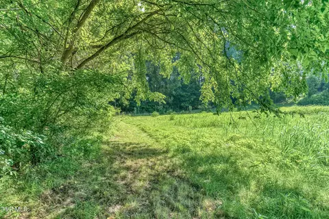 Other - 419 Kitzmiller Road Gray Tn 37615, Gray, TN 37615 photo 32 of 42