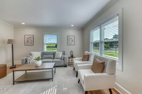 Living - 419 Kitzmiller Road Gray Tn 37615, Gray, TN 37615 photo 1 of 2
