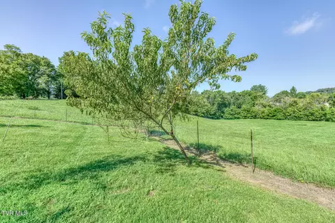 Other - 419 Kitzmiller Road Gray Tn 37615, Gray, TN 37615 photo 23 of 42
