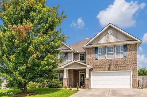 905 Denvers Lane Piney Flats Tn 37686, Piney Flats, TN 37686