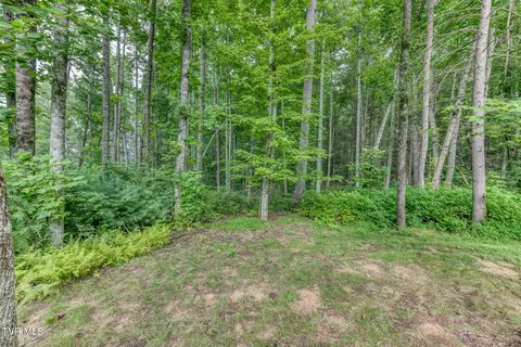 Exterior - 167 Brian Lane Erwin Tn 37650, Erwin, TN 37650 photo 11 of 21