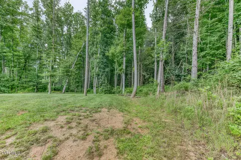 Exterior - 167 Brian Lane Erwin Tn 37650, Erwin, TN 37650 photo 18 of 21