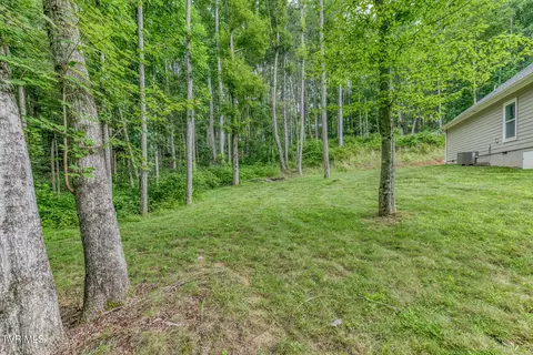 Exterior - 167 Brian Lane Erwin Tn 37650, Erwin, TN 37650 photo 10 of 21