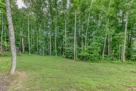 Exterior - 167 Brian Lane Erwin Tn 37650, Erwin, TN 37650 photo 14 of 21