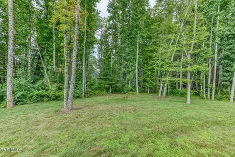 Exterior - 167 Brian Lane Erwin Tn 37650, Erwin, TN 37650 photo 6 of 21