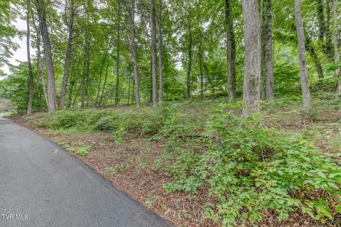 Exterior - 167 Brian Lane Erwin Tn 37650, Erwin, TN 37650 photo 21 of 21