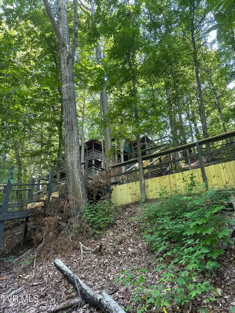 Exterior - 2320 Devault Bridge Road Piney Flats Tn 37686, Piney Flats, TN 37686 photo 11 of 13