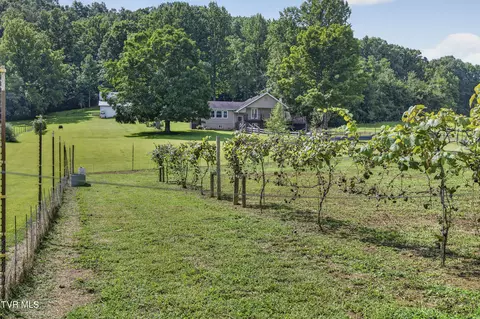 Exterior - 13422 Countiss Road Abingdon Va 24210, Abingdon, VA 24210 photo 27 of 34