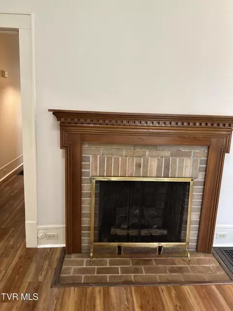 Other - 221 N Irish Street Greeneville Tn 37745, Greeneville, TN 37745 photo 3 of 25