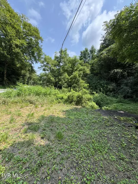 tbd Pumpkin Valley Road Eidson Tn 37731, Eidson, TN 37731 photo 6