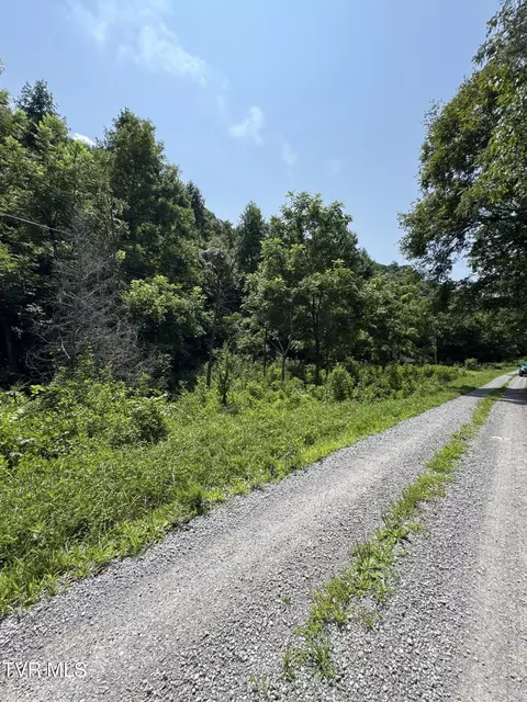 tbd Pumpkin Valley Road Eidson Tn 37731, Eidson, TN 37731 photo 3