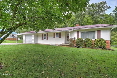 Exterior - 226 Bank Drive Fall Branch Tn 37656, Fall Branch, TN 37656 photo 4 of 19
