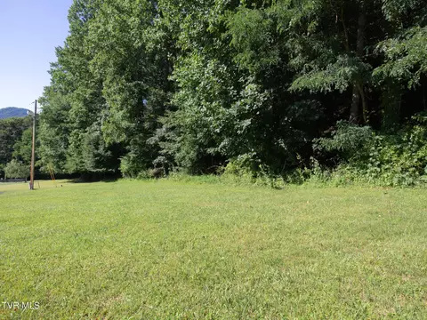 117 Buckner Drive Roan Mountain Tn 37687, Roan Mountain, TN 37687