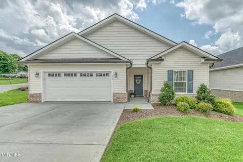 11 Palmetto Court Gray Tn 37615, Gray, TN 37615