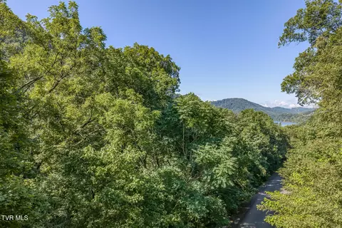 lot4 Walnut Bend Drive Whitesburg Tn 37891, Whitesburg, TN 37891