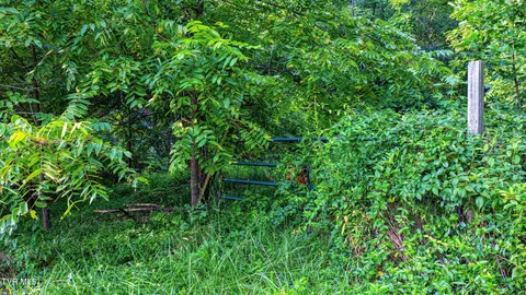 632 N Cherokee Street Jonesborough Tn 37659, Jonesborough, TN 37659