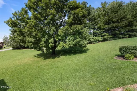 Exterior - 207 Hermosa Drive Fall Branch Tn 37656, Fall Branch, TN 37656 photo 7 of 10