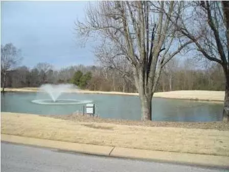 340 White Eagle Trl, Ringgold, GA 30736 photo 2