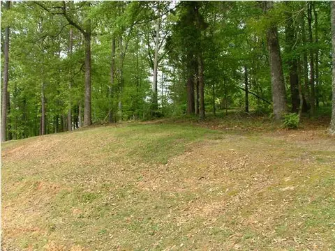 417 Smith Ln, Jasper, TN 37347 photo 12