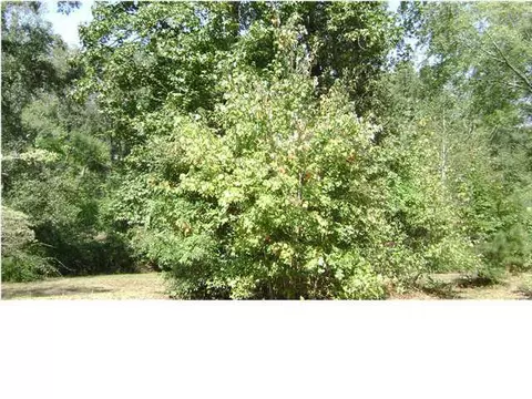 5137 Jackson Rd, Apison, TN 37302 photo 3