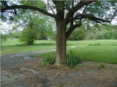 4605 Three Notch Rd, Ringgold, GA 30736 photo 9