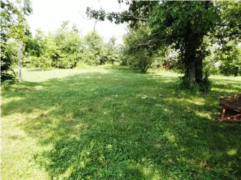 1133 Dedmon Rd, Ringgold, GA 30736 photo 4