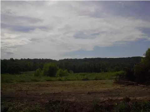 11217 Old Brainerd Rd, Apison, TN 37302 photo 8