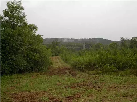11217 Old Brainerd Rd, Apison, TN 37302 photo 4