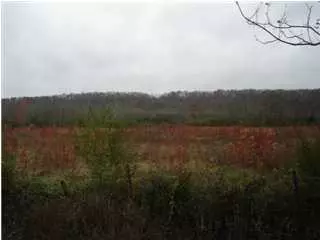 11217 Old Brainerd Rd, Apison, TN 37302 photo 9