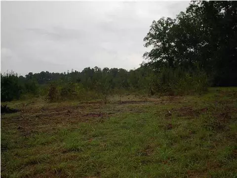11217 Old Brainerd Rd, Apison, TN 37302 photo 5