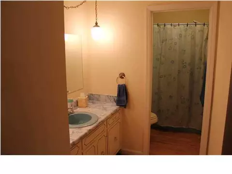 4002 Sajac Trl, Apison, TN 37302 photo 15