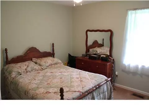4002 Sajac Trl, Apison, TN 37302 photo 13