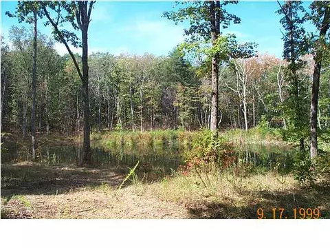 157 Buckridge Rd, Dunlap, TN 37327 photo 4