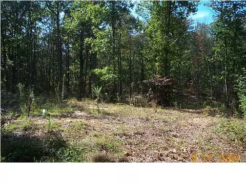 157 Buckridge Rd, Dunlap, TN 37327 photo 5