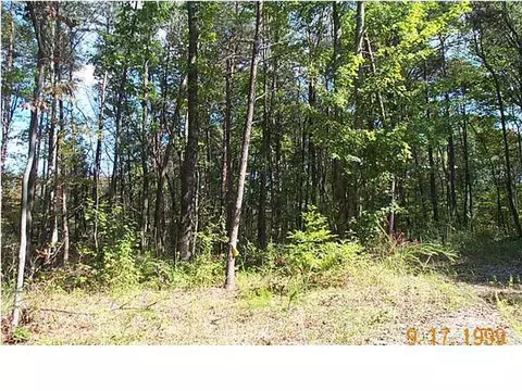 157 Buckridge Rd, Dunlap, TN 37327 photo 3