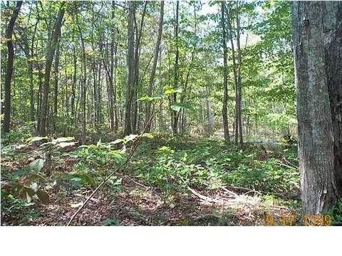 157 Buckridge Rd, Dunlap, TN 37327 photo 6