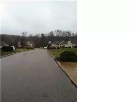 6537 Rolling River Rd, Harrison, TN 37341 photo 21