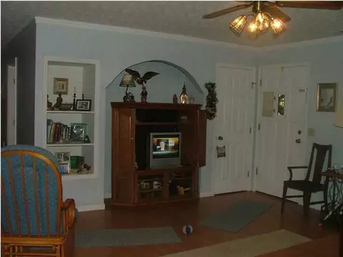 137 Spring St, Spring City, TN 37381 photo 5