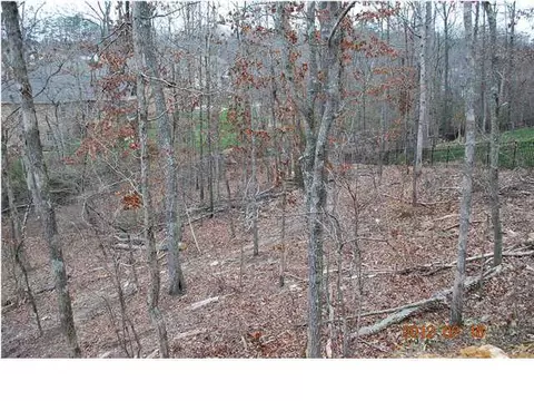 2925 Reflection Ln, Ooltewah, TN 37363 photo 13