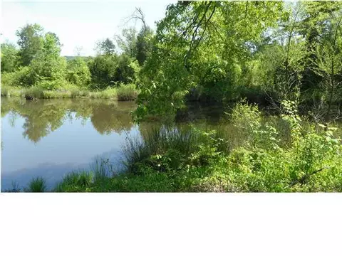 2525 Post Oak Rd, Ringgold, GA 30736 photo 6