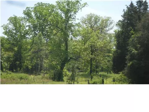 2525 Post Oak Rd, Ringgold, GA 30736 photo 4