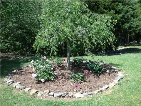 2753 Derby Downs Dr, Chattanooga, TN 37421 photo 6